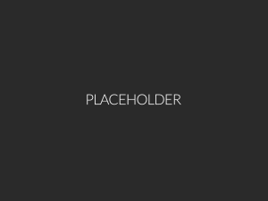 placeholder4